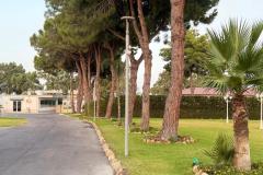Viale