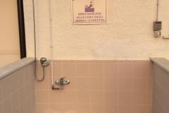 Area lavaggio animali