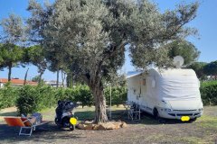camper1