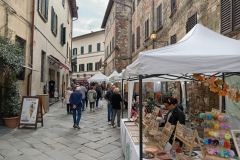 IMG_20241020_122237