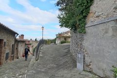 IMG_20241020_123135