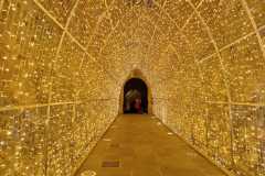 IMG-20250508-WA0050