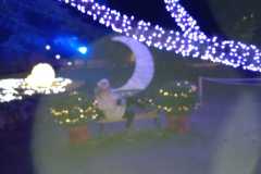 IMG-20250508-WA0052