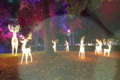 IMG-20250508-WA0056