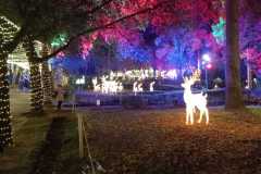 IMG-20250508-WA0057