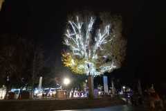 IMG-20250508-WA0066