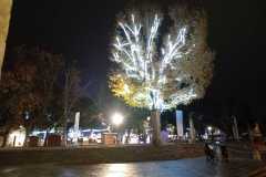 IMG-20250508-WA0069