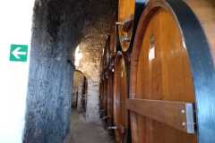 IMG-20250508-WA0084