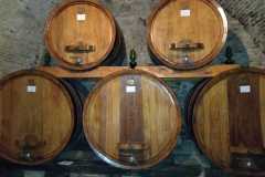 IMG-20250508-WA0091