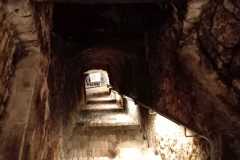 IMG-20250508-WA0092