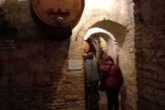 IMG-20250508-WA0096