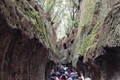 IMG-20250508-WA0020