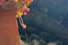 IMG-20250508-WA0037