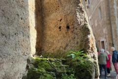 IMG-20250508-WA0039