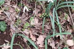 IMG-20250508-WA0053