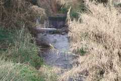IMG-20250508-WA0054