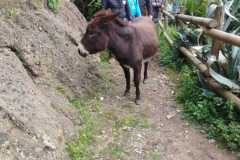 IMG-20250508-WA0056