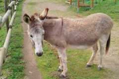 IMG-20250508-WA0057