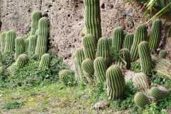 IMG-20250508-WA0059