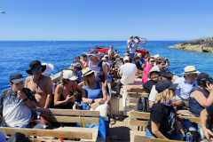 IMG-20250601-WA0036