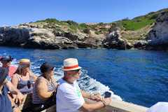 IMG-20250601-WA0046