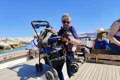 IMG-20250601-WA0050