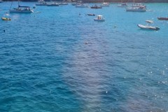 IMG-20250601-WA0081