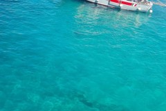IMG-20250601-WA0082