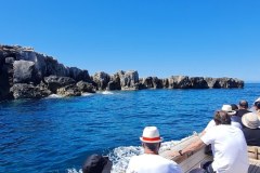 IMG-20250601-WA0094